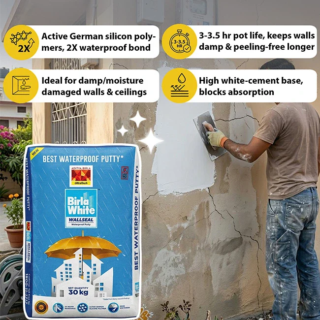 Birla White WallSeal Waterproof Putty, 30 Kg Bag - Image 2