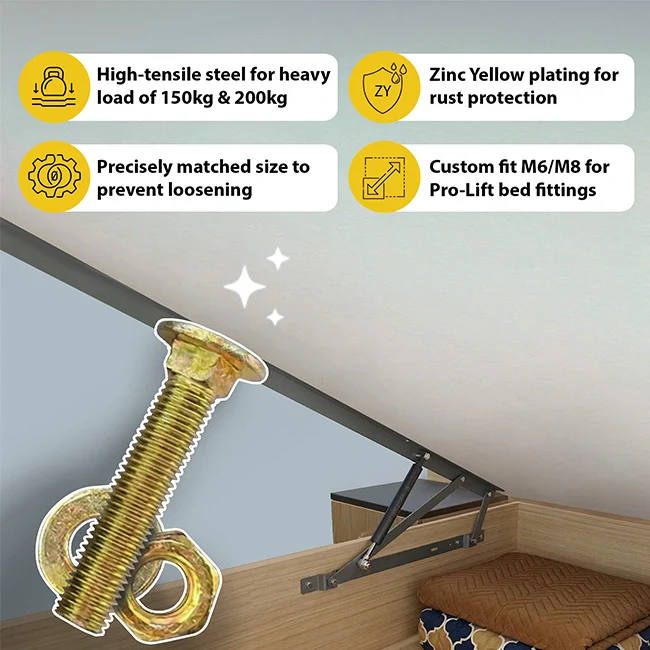 Ebco Mounting Screw Kit for Pro-Lift Bed Fittings - Image 2
